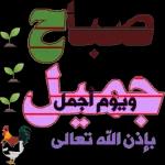 صباح اليقن بأن رحمة
الله أوسع من كل شئ
صباح محمد الله فيه
ونشكره على كل شئ
:
الفلام
الطب
صباح الخيين