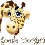 Goedemorgen