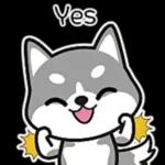 萌宠sticker 01051 🥰