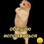 сон