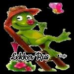 LEKKER
SLAAP