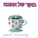 הכל בסדר גמור 