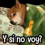 Y si no voy?
