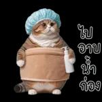 แมวถังแกสอ้วนตุ้บ 03
