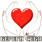 туч-туч-туч