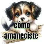 Buenas Tardes!