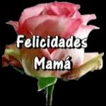 Feliz dia mama