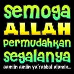 𝑴𝒊𝒙𝒙𝒆𝒅