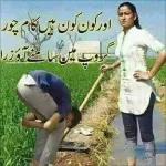شانِ شناسی کی وجہ