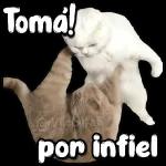 ¿Qué decía ese mensaje?