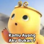 konto..