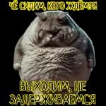 смайлы