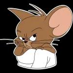 Tom and Jerry
                            Liza Fomushkina