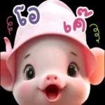 ดาวน์โหลดฟรี