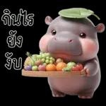 หมูดุ้งฮิปโปตัวกลมใบไม้