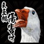 動物鄉民