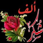 ملصقات 