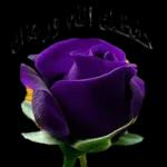 تصبحون على خير