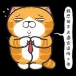 白爛貓45☆打工仔☆