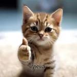 Удачного дня