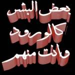 شوشو ٦٦