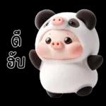 หมูแพนด้าน่ารักจังเลย