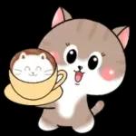 Cats! For reply