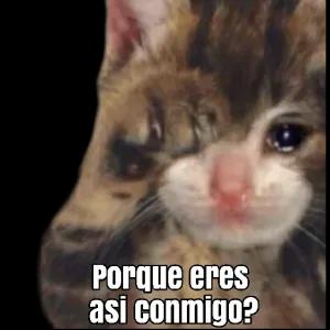 Porque eres asi conmigo? - getsticker.com