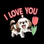 西施迪迪 (日常生活及問候篇)