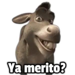 zojhfB