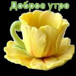 доброго вечера 