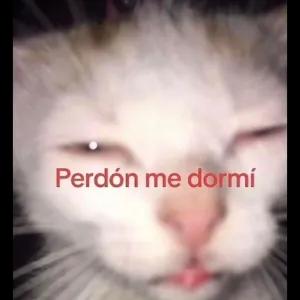 LpjzQO