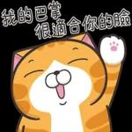 白爛貓53☆超靠北☆