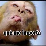 Si bueno quien habla?