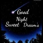 Good Night Sweet Dreams