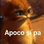 lolo