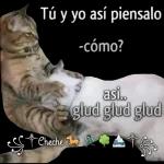 No es mi problema es su problema