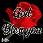 flower🌸 🌹 🌺 