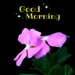 good morning