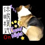 當你握著兩手沙子時，一定就拿不到地上那顆珍珠了。