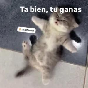 Ta bien, tu ganas - getsticker.com