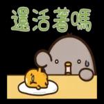 蛋黃哥 × 黑白雞 一起發懶！