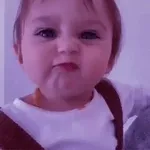 Tôi là một chú chó