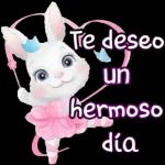 Feliz martes