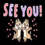 萌宠sticker  11301 🥰