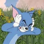 I'm Tom, no Jerry