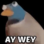 Nuevo aviso.