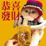 Year of Snake 蛇年快樂