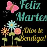 Feliz Martes