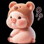 小猪熊好可爱啊